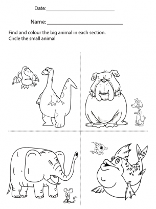 Large and Small Worksheets