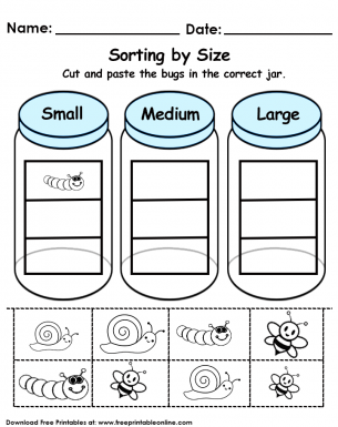 Sorting by Size Worksheet