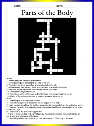 crossword puzzle parts body print customize freeprintableonline