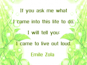 Motivational Quotes by Emile Zola