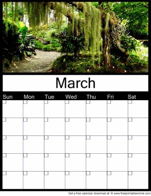 Printable March Monthly Calendars - Blank for use in any given year with tropical rainforest scene