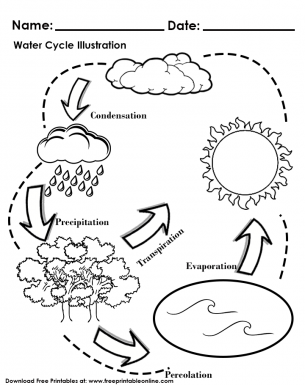 simple water cycle worksheet