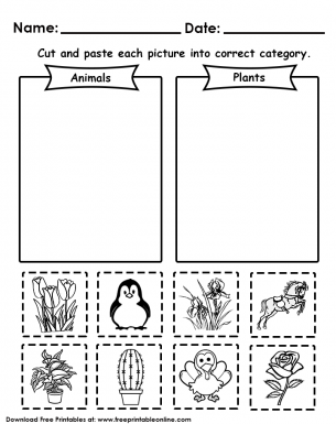 animals or plants worksheets