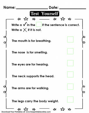 Body Part Function Test Kids Worksheet Handout