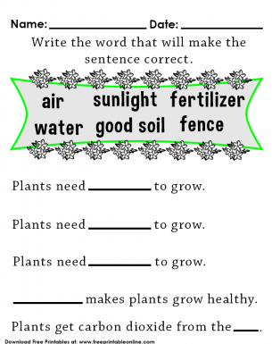 what do plants need to grow fun kids worksheet