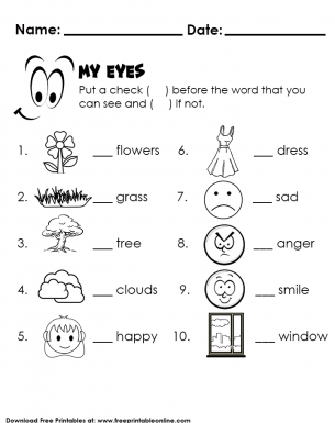 test my sense of sight kids worksheet