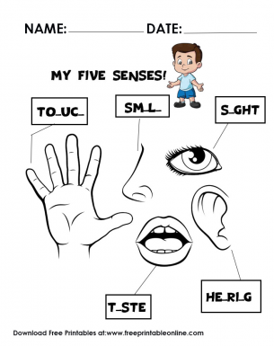 My Five Senses