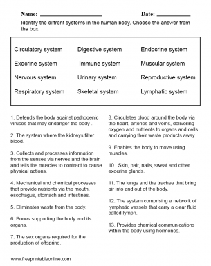 systems in the human body middle school science